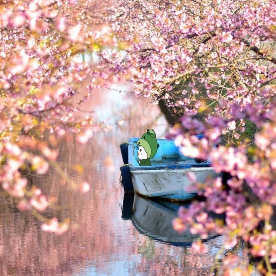みんなが撮った松阪の梅 桜の名所 はなさかまつさか21春投稿集 松阪市観光インフォメーションサイト