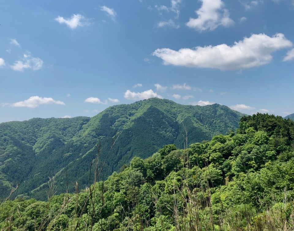 松ぼっくり登坂 堀坂山（ほっさかさん） | 松阪市観光インフォメーションサイト